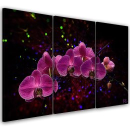 Obraz trzyczęściowy na płótnie, Orchidea na ciemnym tle - 60x40