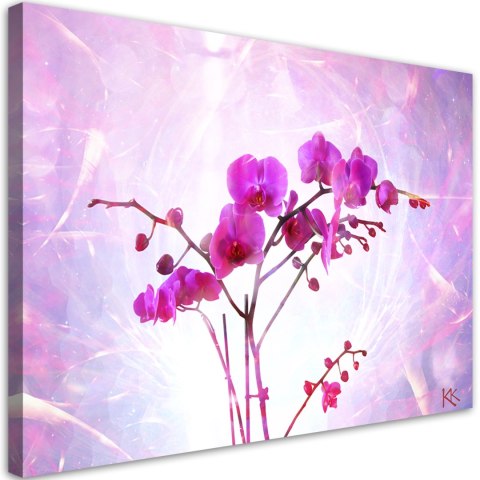 Obraz na płótnie, Eteryczna orchidea - 90x60