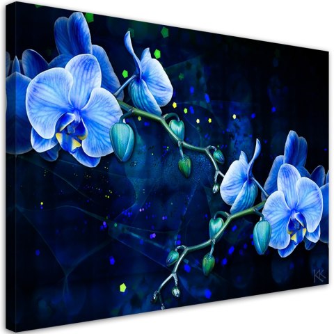 Obraz na płótnie, Niebieski kwiat orchidei - 120x80
