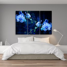 Obraz tryptyk na płótnie, Niebieski kwiat orchidei - 120x80