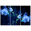 Obraz tryptyk na płótnie, Niebieski kwiat orchidei - 150x100