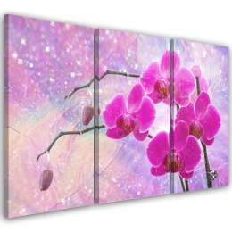 Obraz trzyczęściowy na płótnie, Eteryczna orchidea abstrakcja - 150x100