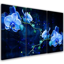 Obraz trzyczęściowy na płótnie, Niebieski kwiat orchidei - 90x60