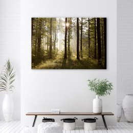 Obraz na płótnie, Poranek w lesie - 60x40