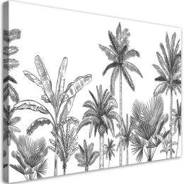 Obraz, Czarno białe palmy - 100x70