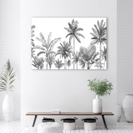 Obraz, Czarno białe palmy - 90x60