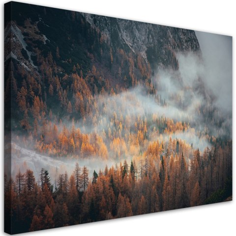 Obraz na płótnie, Las we mgle krajobraz - 100x70