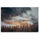 Obraz na płótnie, Las we mgle krajobraz - 100x70