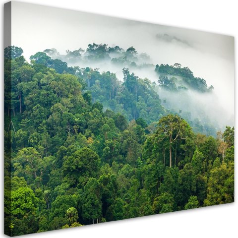 Obraz na płótnie, Las we mgle pejzaż - 100x70
