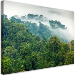 Obraz na płótnie, Las we mgle pejzaż - 90x60