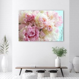 Obraz na płótnie, Różowe kwiaty piwonii - 100x70