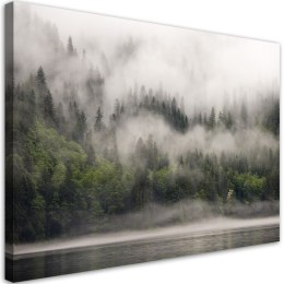 Obraz na płótnie, Las we mgle, krajobraz - 100x70
