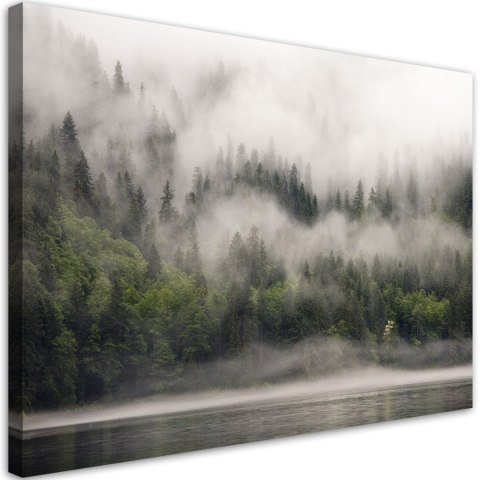 Obraz na płótnie, Las we mgle, krajobraz - 120x80