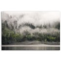 Obraz na płótnie, Las we mgle, krajobraz - 120x80