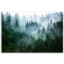 Obraz na płótnie, Las we mgle, pejzaż - 120x80
