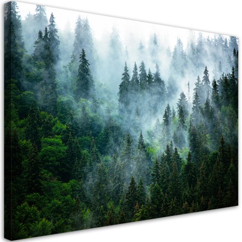 Obraz na płótnie, Las we mgle, pejzaż - 60x40