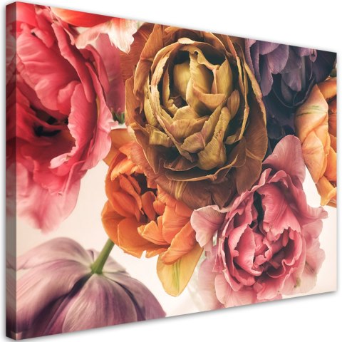 Obraz na płótnie, Piwonie bukiet kolorowych kwiatów - 120x80