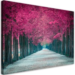 Obraz na płótnie, Różowe drzewa, park - 100x70
