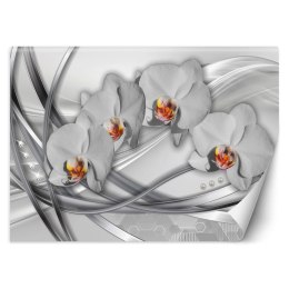 Fototapeta, Abstrakcja orchidea - 100x70