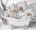 Fototapeta, Abstrakcja orchidea - 100x70