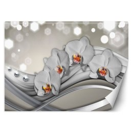 Fototapeta, Orchidea abstrakcja - 150x105