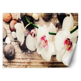 Fototapeta, Orchidea zen feng shui - 100x70