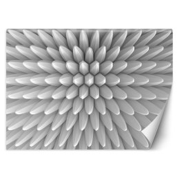 Fototapeta, Abstrakcja kolce tekstura 3D - 150x105