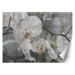 Fototapeta, Orchidea vintage - 100x70