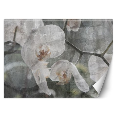 Fototapeta, Orchidea vintage - 150x105