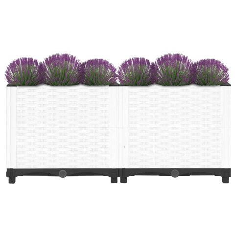 Donica do podwyższonej rabaty, 80x40x38 cm, polipropylen