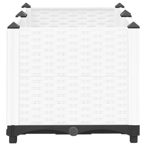 Donica do podwyższonej rabaty, 80x40x38 cm, polipropylen