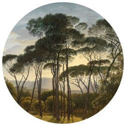 WallArt Okrągła fototapeta Umbrella Pines in Italy, 190 cm