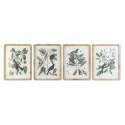 Obraz DKD Home Decor 50 x 2,5 x 65 cm Shabby Chic Rośliny botaniczne (4 Części)