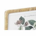 Obraz DKD Home Decor 50 x 2,5 x 65 cm Shabby Chic Rośliny botaniczne (4 Części)