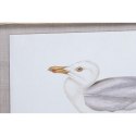 Obraz DKD Home Decor 70 x 2,5 x 50 cm Tradycyjny Ptaki (6 Części)