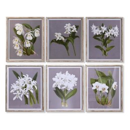 Obraz DKD Home Decor Jodła Szkło 50 x 60 x 2,8 cm 50 x 2,8 x 60 cm Kvety (6 Części)