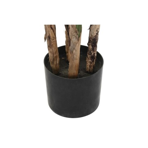 Roślina Dekoracyjna DKD Home Decor (90 x 90 x 200 cm)