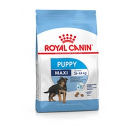 Karma Royal Canin Maxi Puppy 15 kg Szczeniak/Junior Warzywo