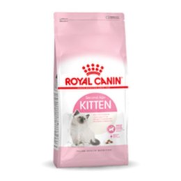 Karma dla kota Royal Canin Kitten kurczak 10 kg