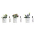 Odświeżacz powietrza DKD Home Decor Shabby Chic (3 Sztuk) (2 Sztuk)