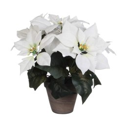 Roślina Dekoracyjna Biały PVC (27 X 35 CM)