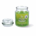 Świeca Magic Lights 8030650530505 Citronella 510 ml