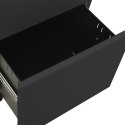 Mobilna szafka kartotekowa, antracytowa, 39x45x67 cm, stalowa