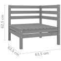 2-osobowa sofa ogrodowa, szara, lite drewno sosnowe