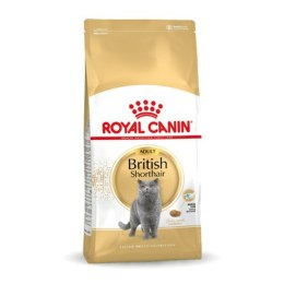 Karma dla kota Royal Canin British Shorthair Adult Dorosły 4 Kg