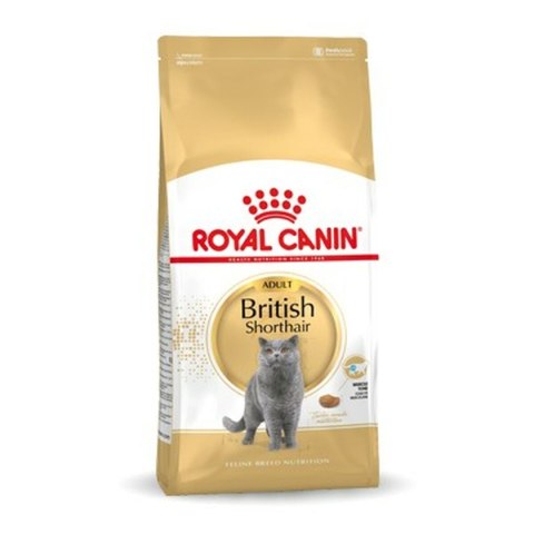 Karma dla kota Royal Canin British Shorthair Adult Dorosły 4 Kg