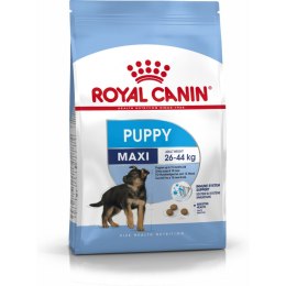 Karma Royal Canin Maxi Puppy Szczeniak/Junior Ptaki 4 Kg
