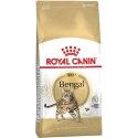 Karma dla kota Royal Canin Bengal Adult Dorosły Warzywo Ptaki 2 Kg