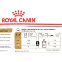 Mokre jedzenie Royal Canin Chihuahua Adult 85 g