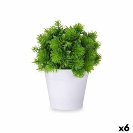 Roślina Dekoracyjna Plastikowy 17 x 19,5 x 17 cm (6 Sztuk)